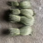 Rayung Broom Sticks for Wholesale Buyers