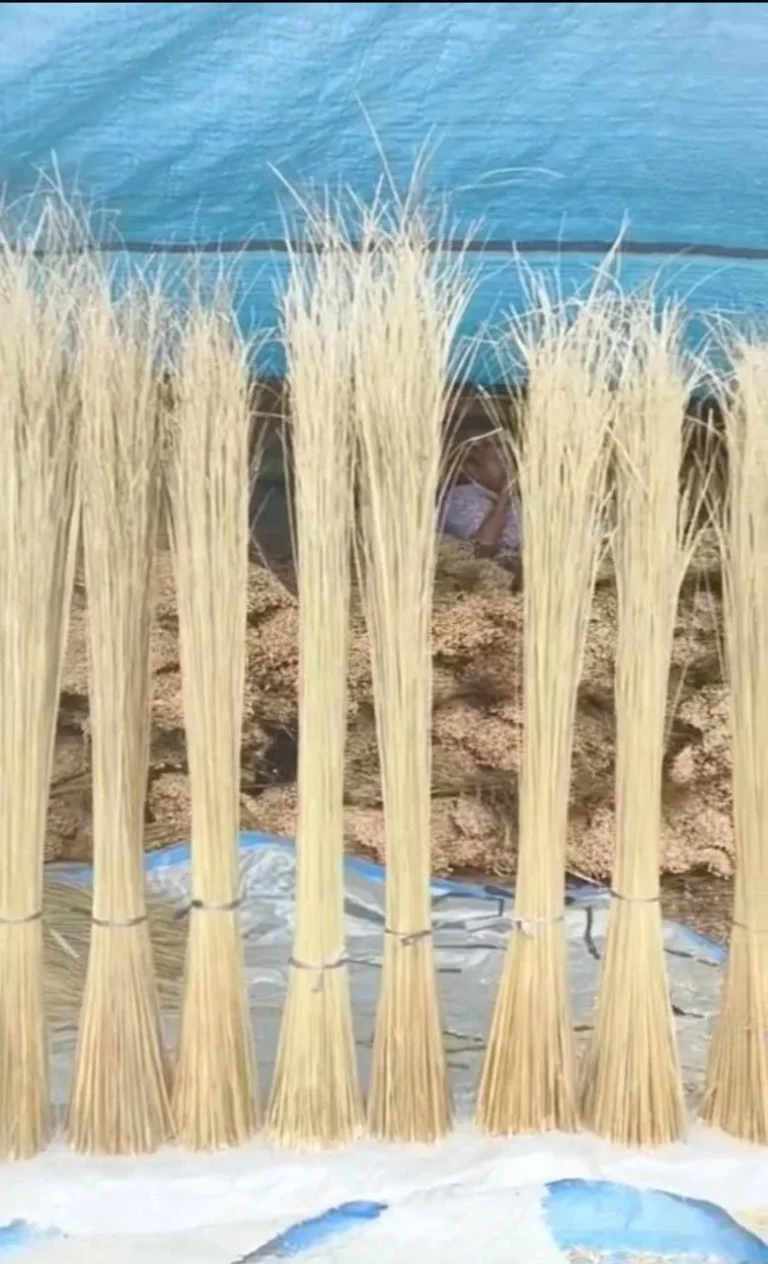 Nipah broom sticks (lidi nipah) bundled for supply from Indonesia